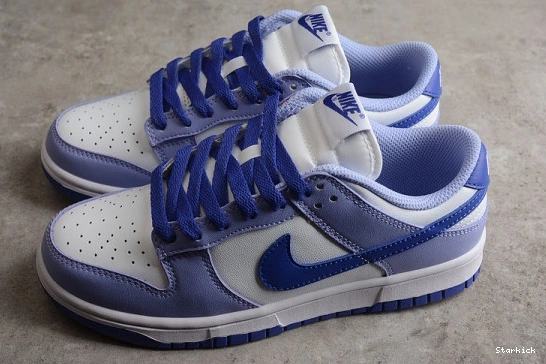 Blueberry Nike Dunk DZ4456-100 (GS) Low 0122